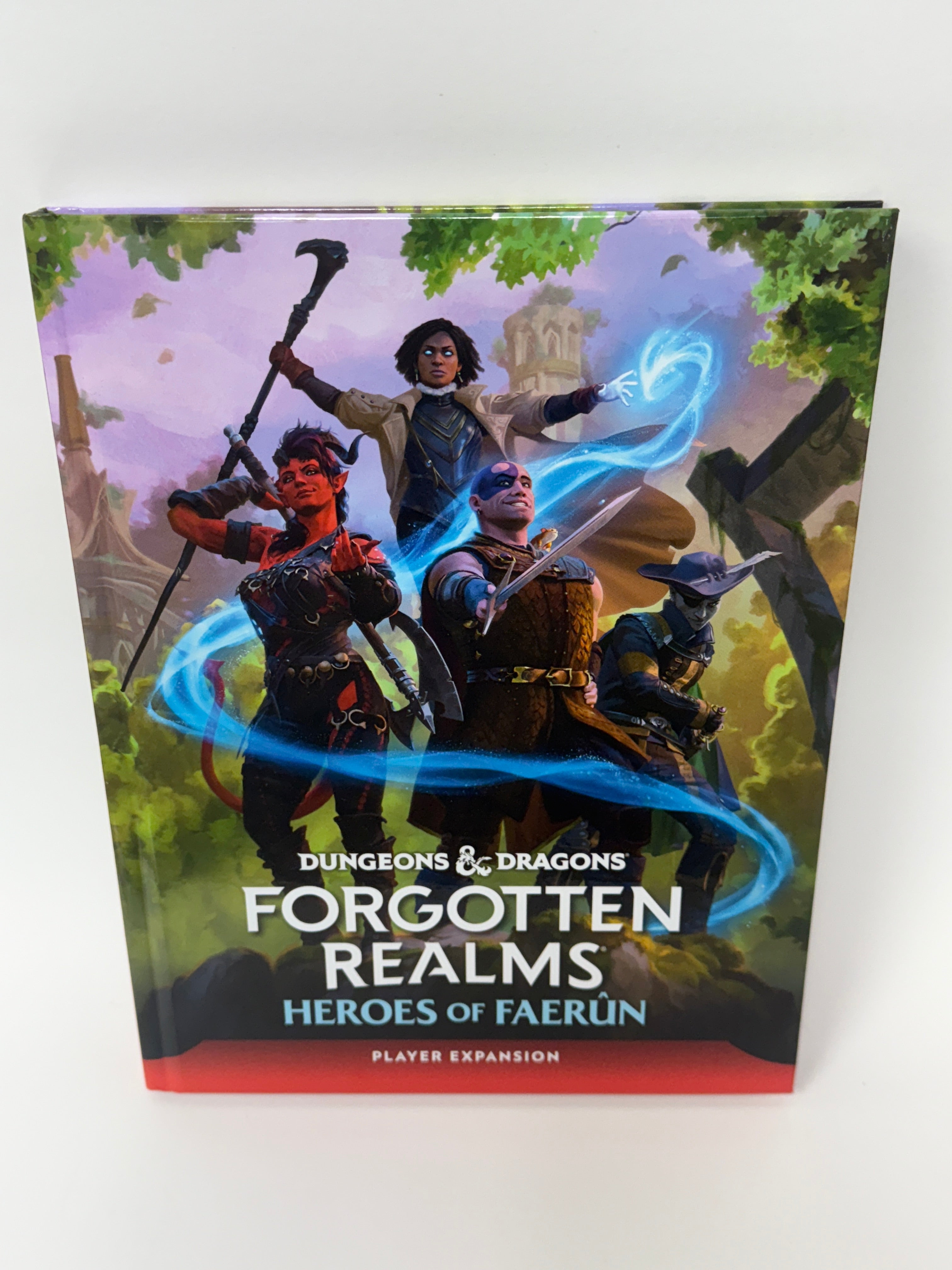 Dungeons & Dragons: Forgotten Realms - Heroes of Faerun