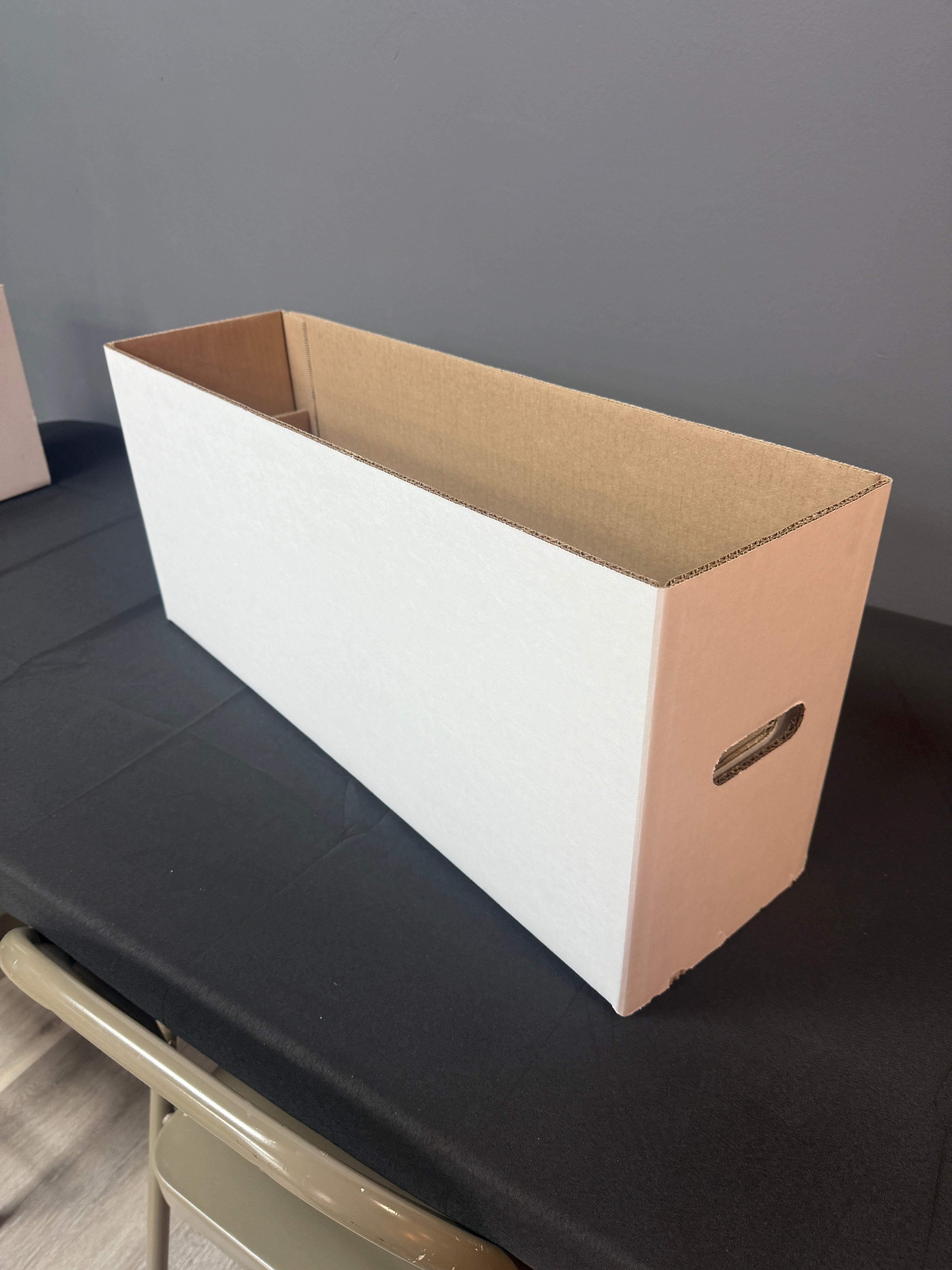 Comic Long Box
