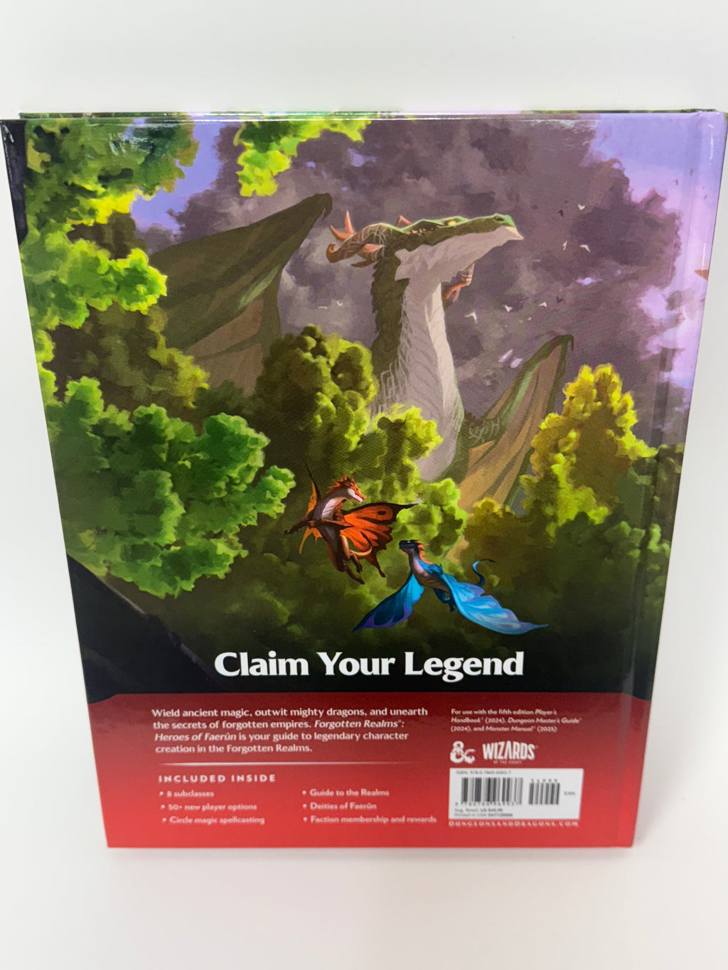 Dungeons & Dragons: Forgotten Realms - Heroes of Faerun